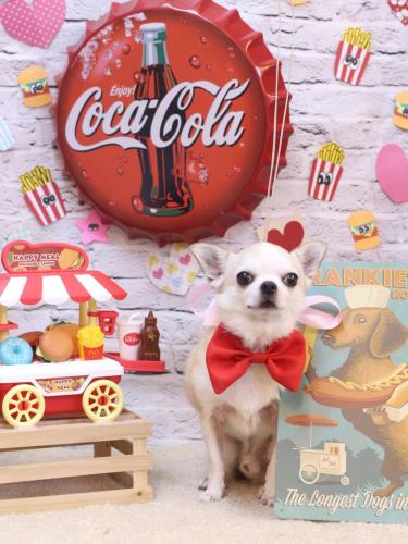 20230901マロンくん